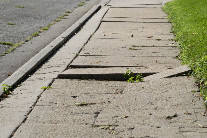 Specialized Sidewalk Repair Firms